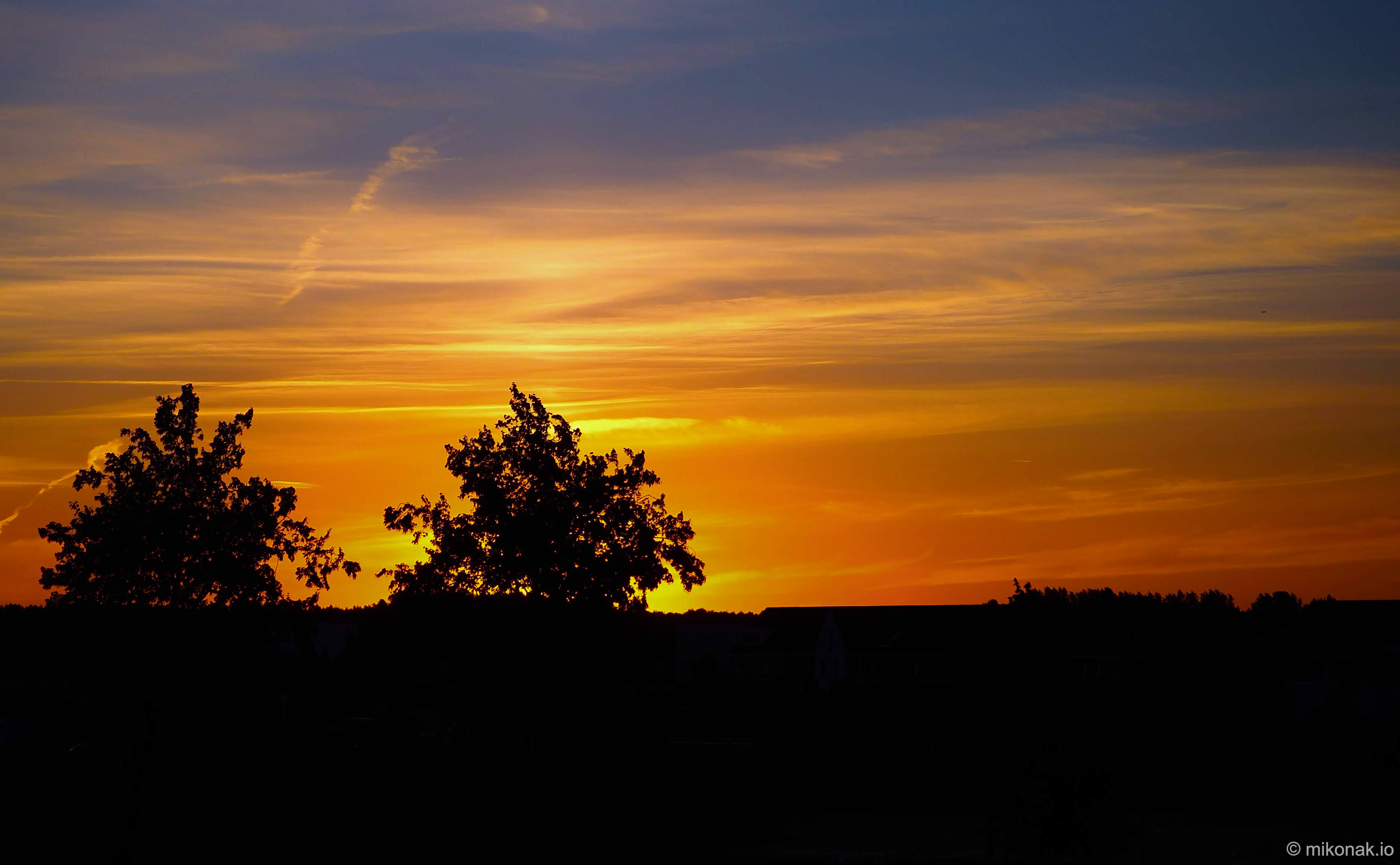 Golden Sunset Silhouettes