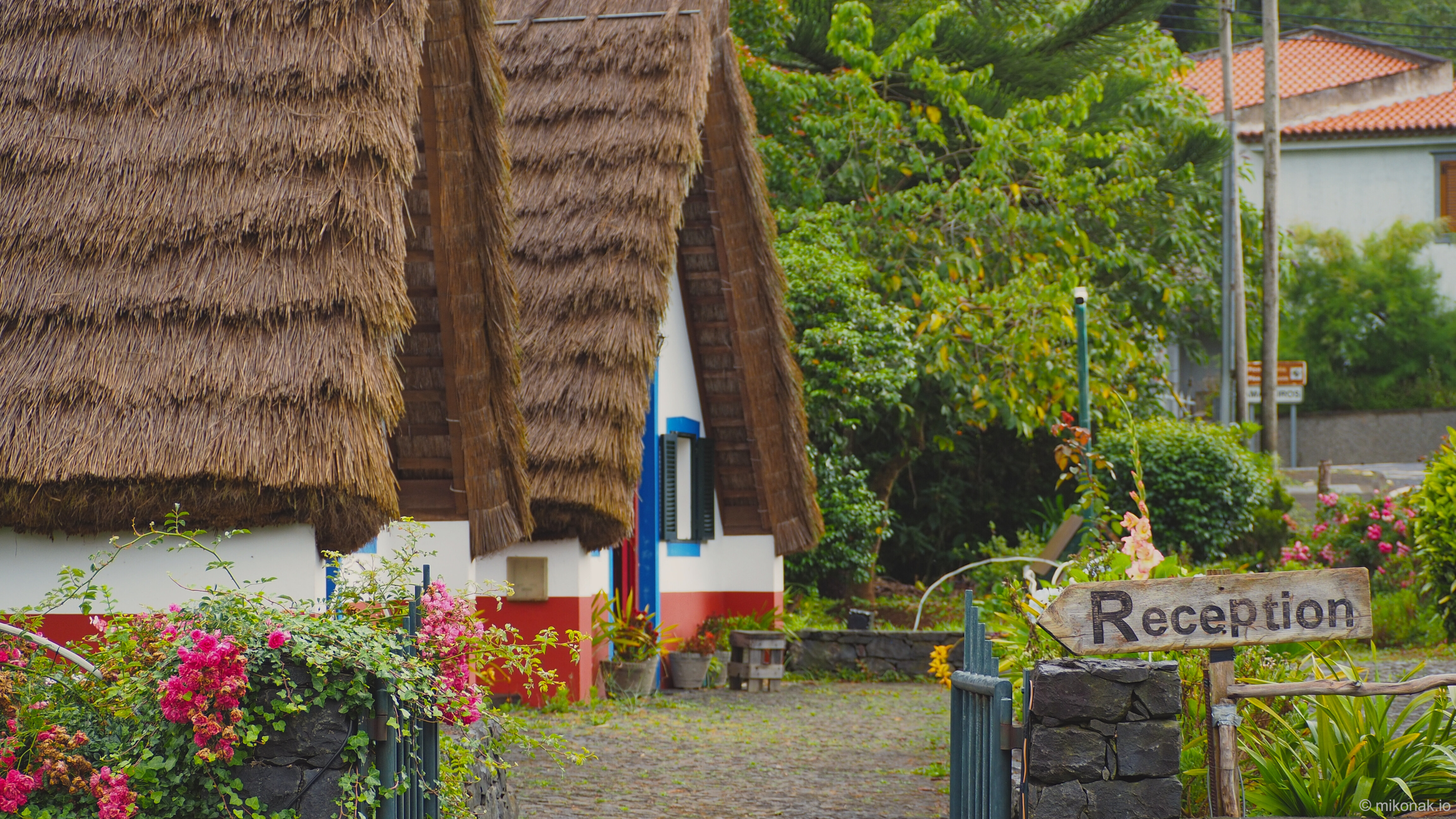 Share What Resonates